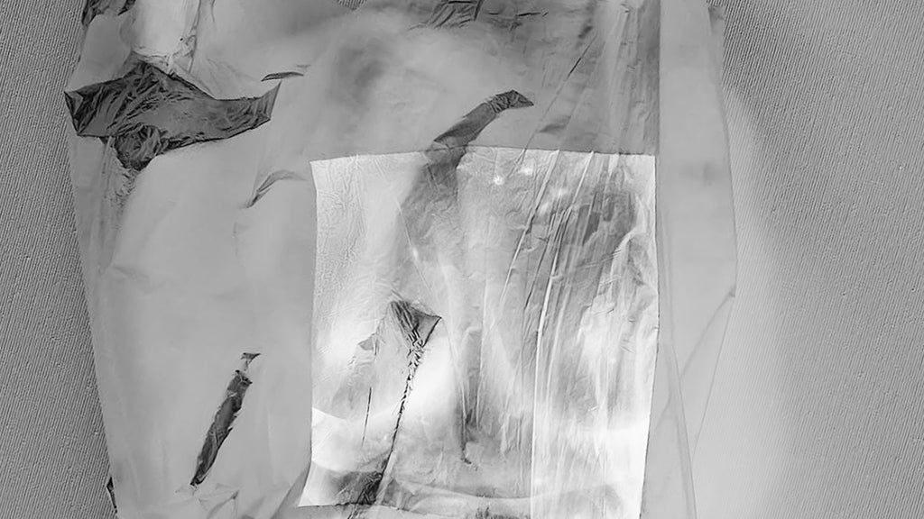 Tencel vs. Polyester: Verbirgt deine Performance-Ausrüstung ein Plastikproblem?