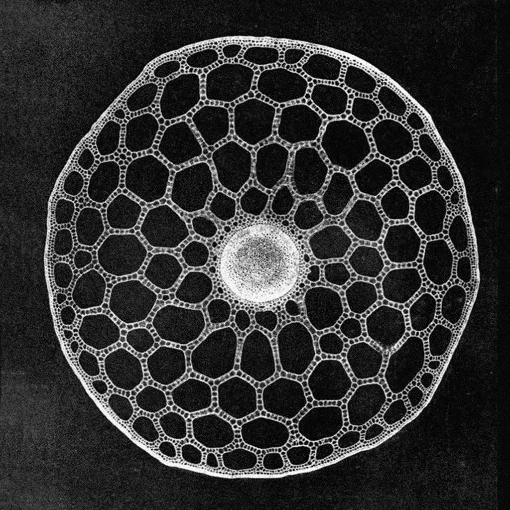 Das Ende des Kreislaufs von 